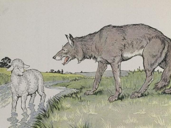 Lupo agnello
